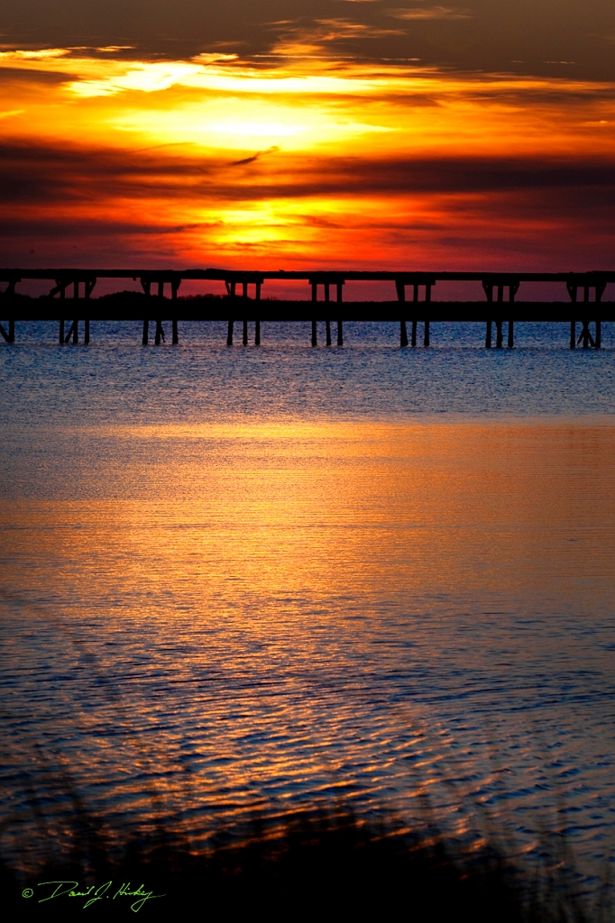 _MG_9381