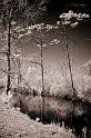 DSC01166-2