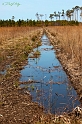 _MG_9319