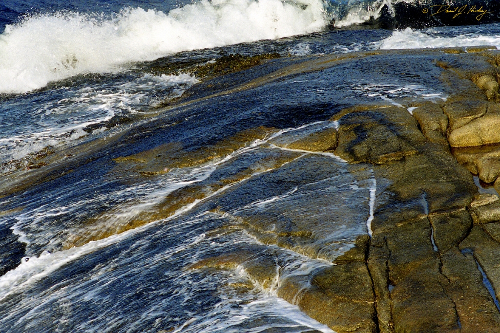 tide