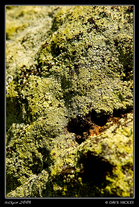_MG_1664
