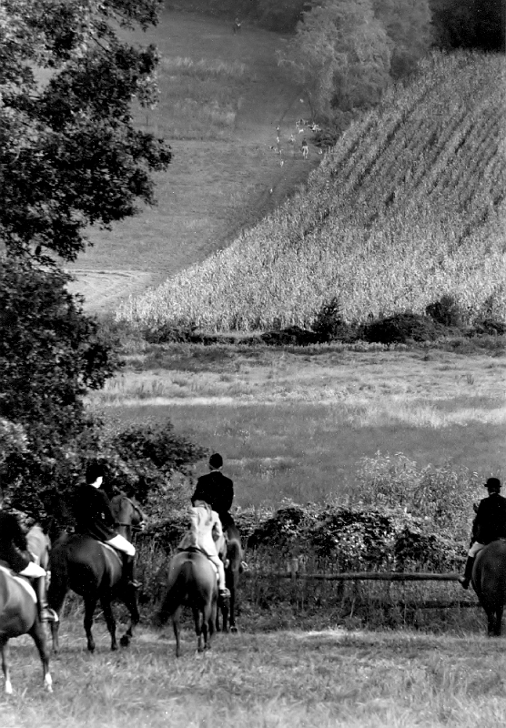 Foxhunt 