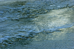 Ice004