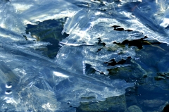 Ice040