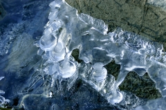 Ice042