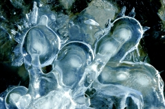 Ice049