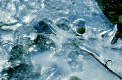 Ice053