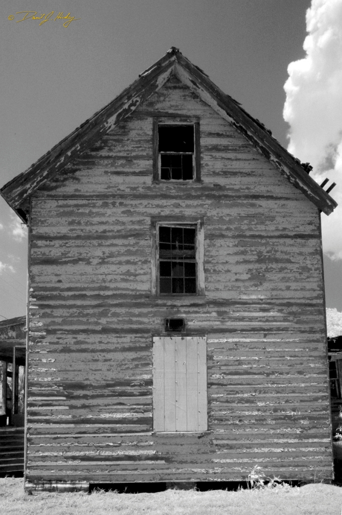 DSC_1512