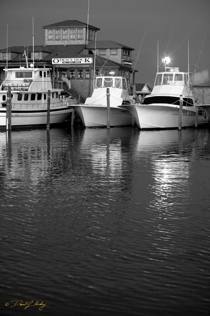 _MG_3421