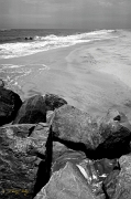 DSC_1359