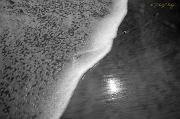  Surf, Outer Banks, NC
