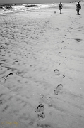  Treat shoot, Outer Banks, NC