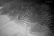  Treat shoot, Outer Banks, NC