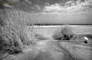  Cooper's World, Outer Banks, NC