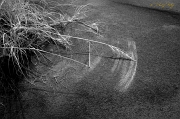  Treat shoot, Outer Banks, NC