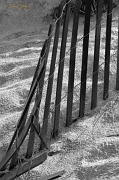  Sand fence, Outer Banks, NC