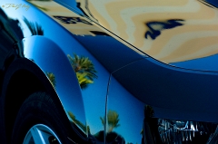  Phil's Camaro