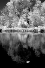 infrared_by_hicspix016 Canal in infrared