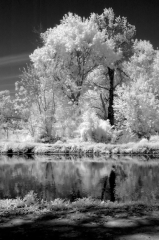 infrared_by_hicspix017 Canal in infrared
