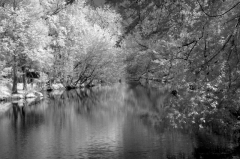infrared_by_hicspix018 Canal in infrared