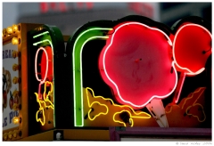 ShoreShots24 Vendor's neon