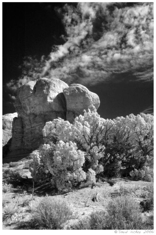 Infrared08 Brush, rock & clouds, Arches National Park, Utah