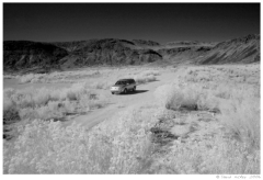 Infrared01 Outside Zion National Park, Utah
