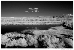 Infrared02 Roadside pond near Alton, Utah