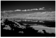 Infrared06 Roadside pond near Alton, Utah