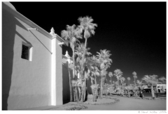 Infrared21 Church & Palms in Ajo, Arizona