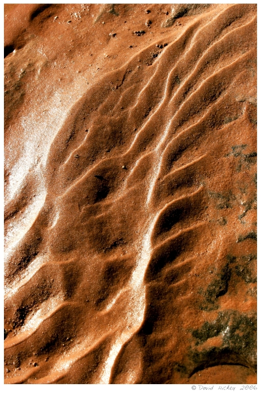 Southwest18 Silt patterns, Arches National Park, Utah