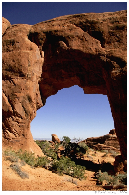 Southwest30 Pine Tree Arch, Arches National Park, Utah