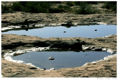 Southwest12 Puddles, Arches National Park, Utah