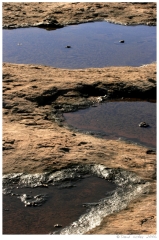 Southwest13 Puddles, Arches National Park, Utah