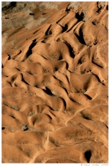 Southwest15 Silt patterns, Arches National Park, Utah