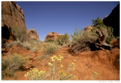 Southwest28 Devil's Garden, Arches National Park, Utah
