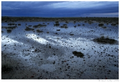 Southwest54 Approaching thunderstorm in Bisti Wilderness, south of Farmington, New Mexico