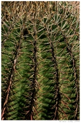 Southwest87