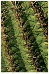 Southwest89