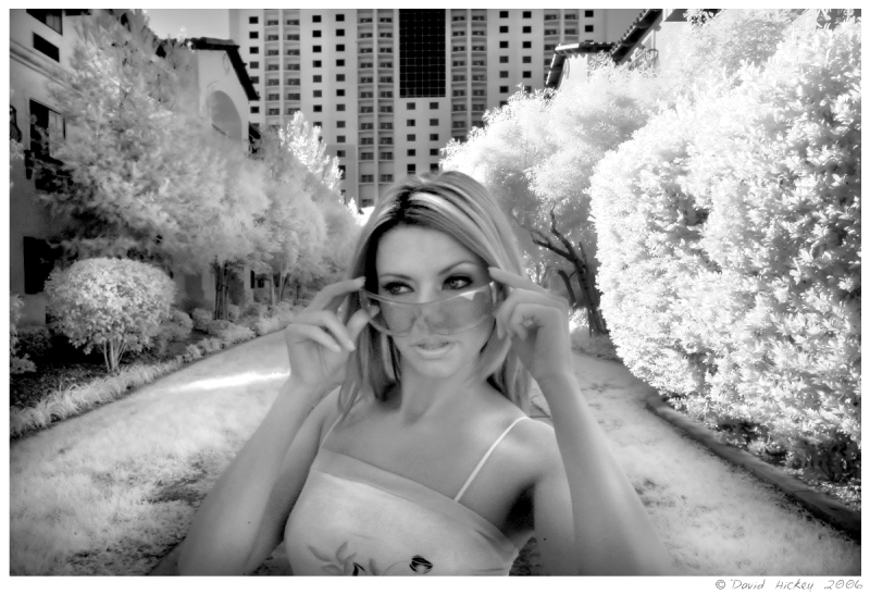 Ginger03 Model: Ginger