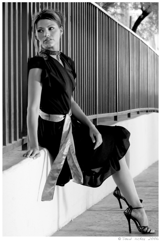 Ginger14 Model: Ginger