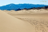  Dumont Dunes