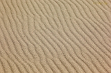  Dumont Dunes