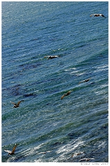 Scenics005