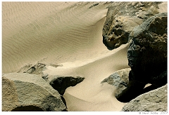 Scenics013