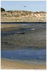 Scenics023