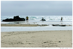 Scenics024