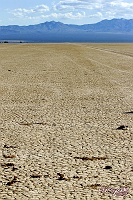 SuperShootsVegas096 Dry Lakebed, Primm, NV    © Dave Hickey