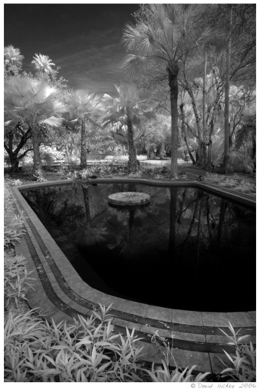 tomir13 Las Retamas property