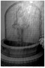 tomir14